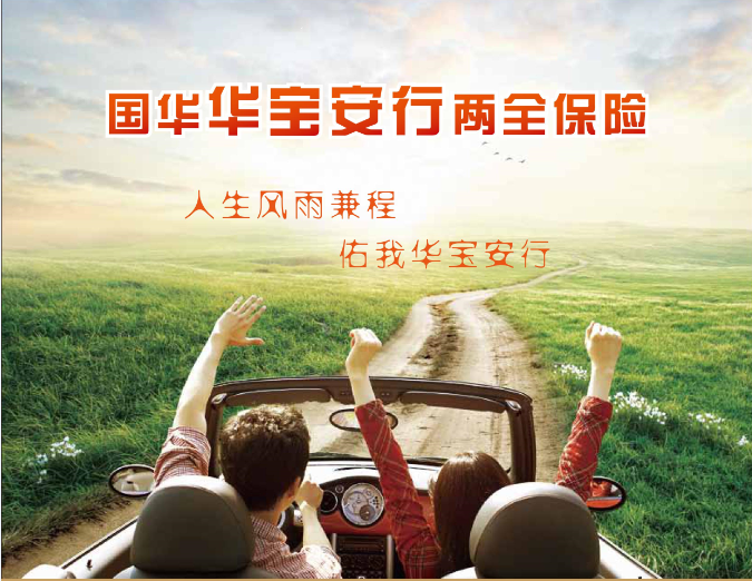 國華華寶安行兩全保險